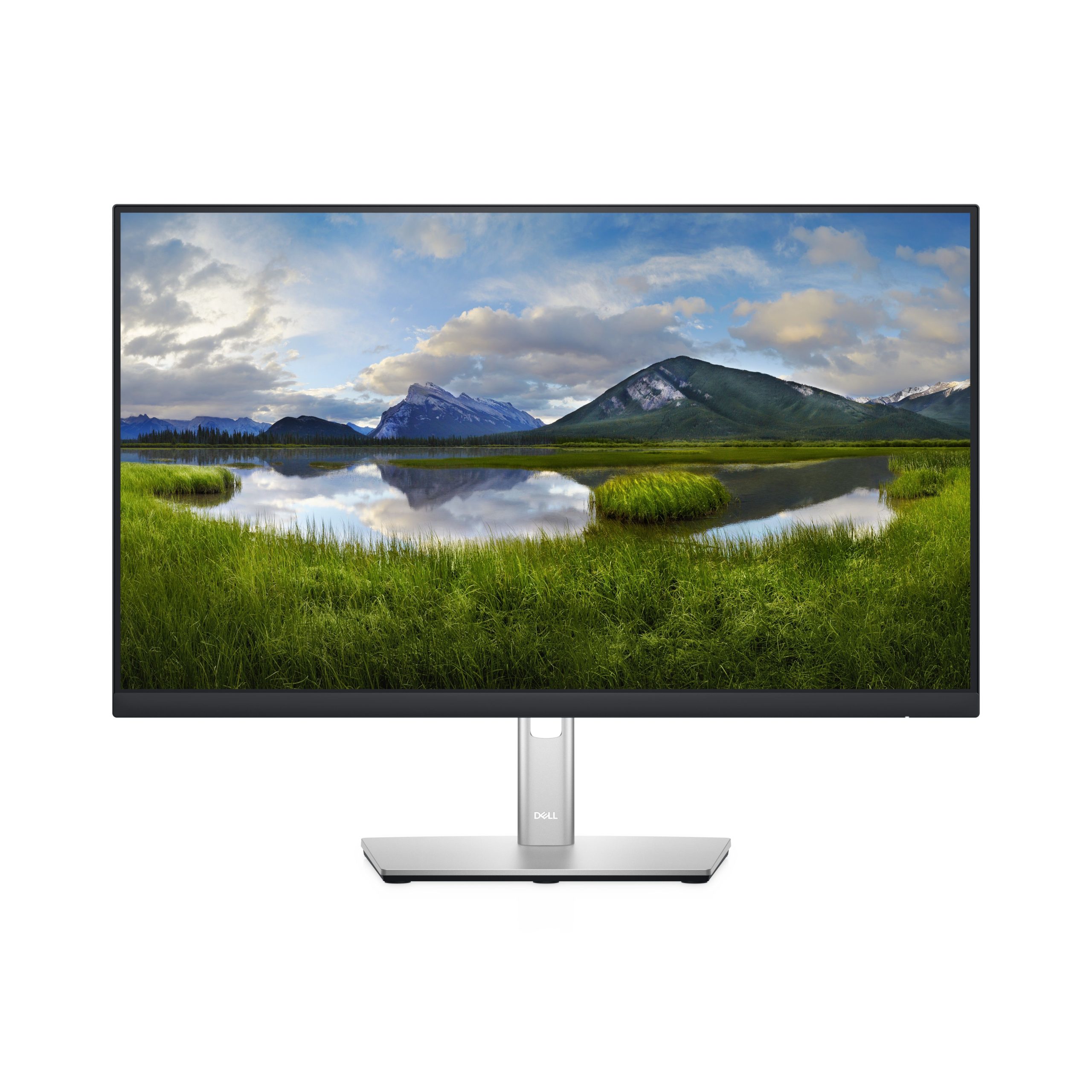 Monitor  DELL P2422H - 24 pulgadas