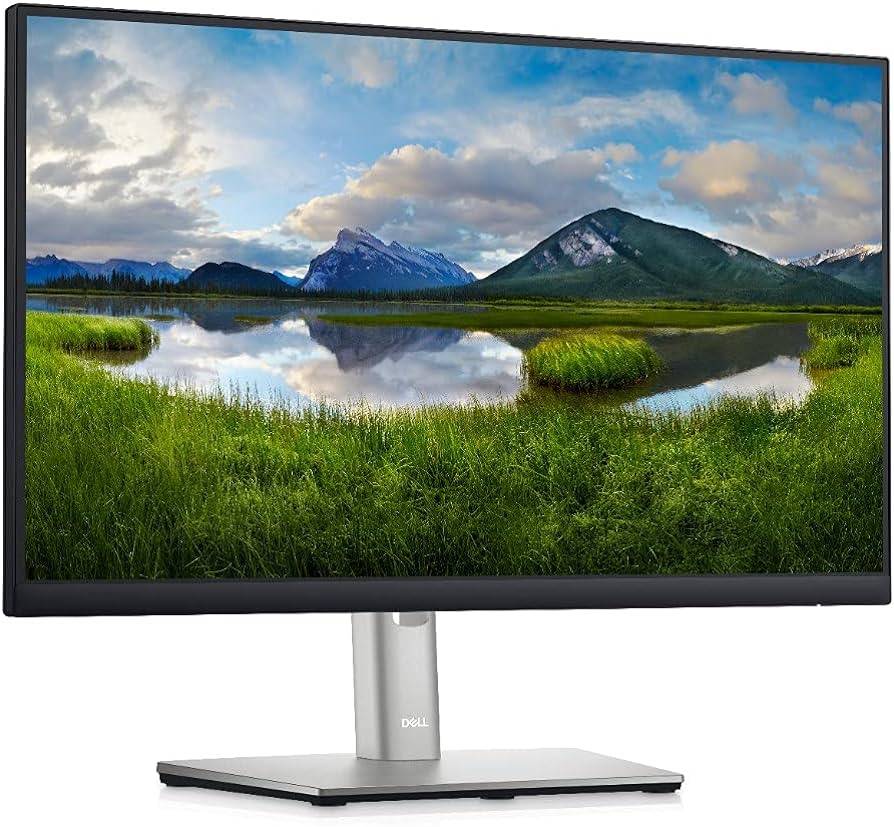 Monitor DELL P2225H - 21.5 pulgadas